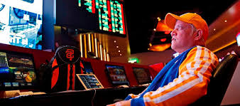 Как войти на сайт Vulkan 24 Casino